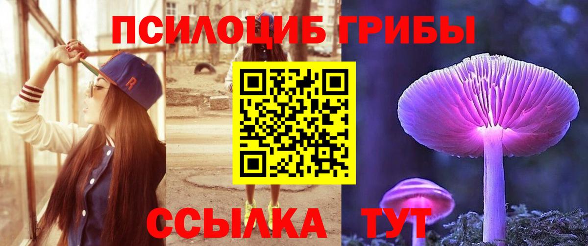 Псилоцибиновые грибы Psilocybine cubensis Гагарин